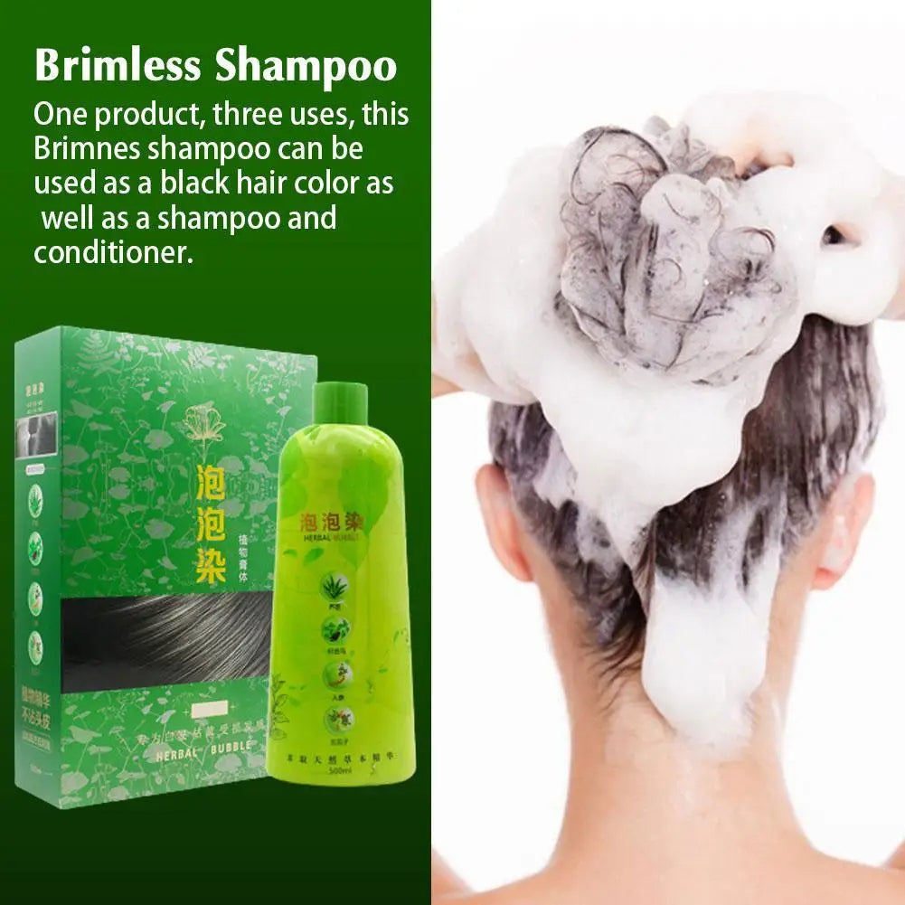 Botanical Hair Color, Shampoo